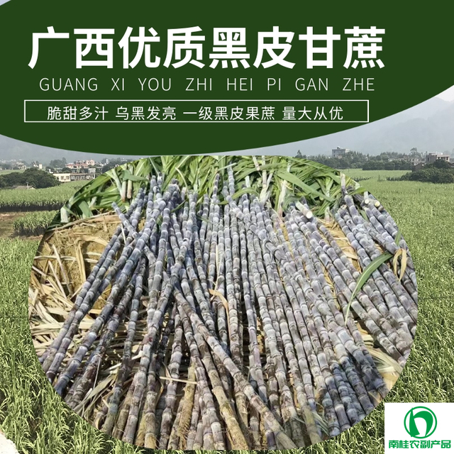 甘蔗种植基地.jpg